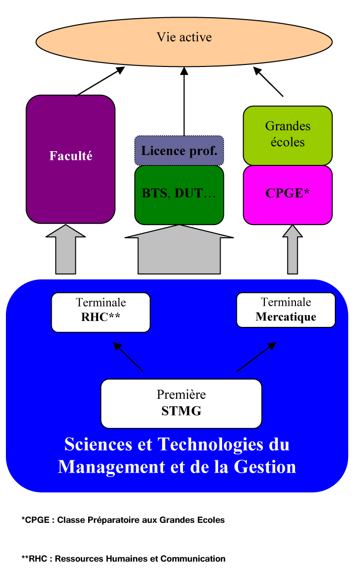 Passer En Stmg Avec 7 De Moyenne