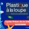 Projet P.A.L avec les 2nde 1 - La Fresque de la pollution plastique